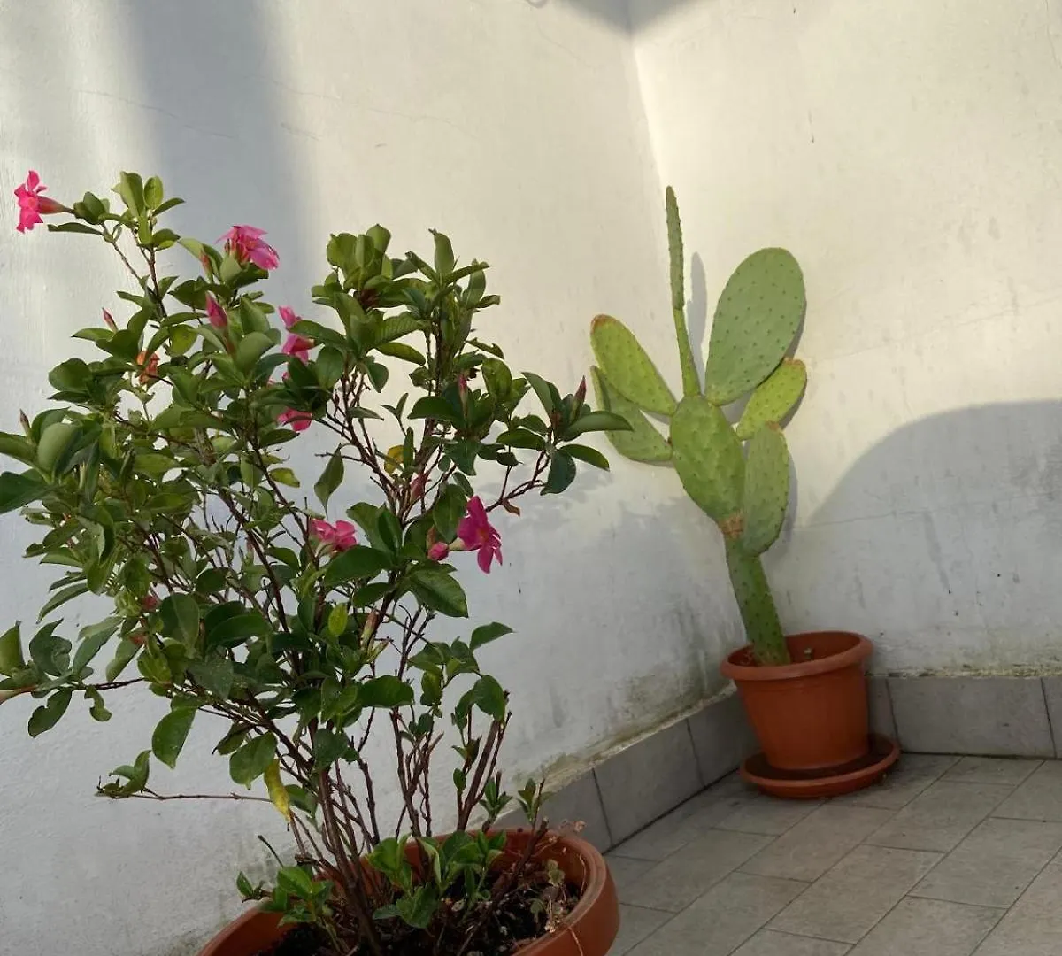 Piccolo Sogno Apartment Roma